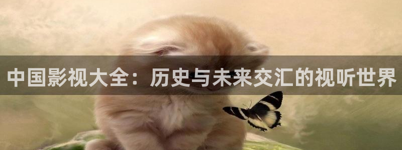 失宠王妃之结缘策驰影院